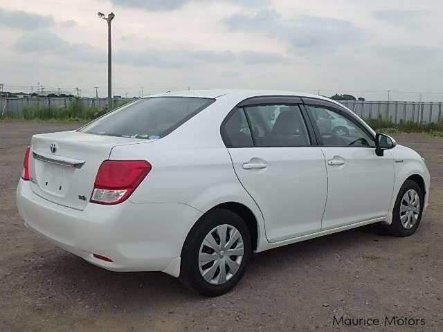 Toyota Axio for hire in Nairobi rear view